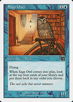 Sage Owl #95