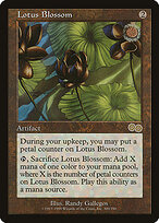 Lotus Blossom #300