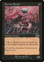 Carrion Beetles #122