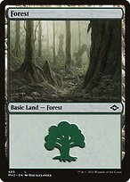 Forest #489