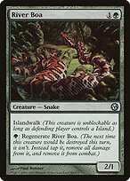 River Boa #80