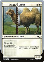 Shaggy Camel #22