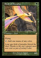 Birds of Paradise #344