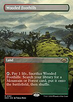 Wooded Foothills #361