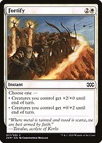 Fortify #17
