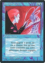Lifetap #63