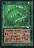 Whip Vine #103a