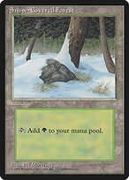 Snow-Covered Forest #383