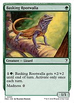 Basking Rootwalla #65