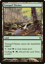 Tranquil Thicket #82
