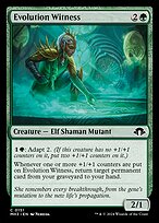 Evolution Witness #151