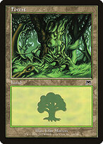 Forest #348
