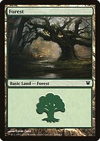 Forest #264