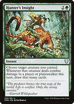 Hunter's Insight #232