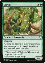 Brawn #133