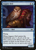 Augury Owl #14