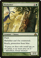 Skylasher #49
