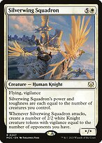 Silverwing Squadron #207