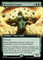Bristlebud Farmer #82