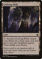 Evolving Wilds #241