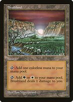 Brushland #62