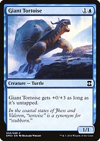 Giant Tortoise #52