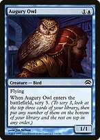 Augury Owl #14