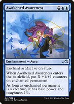 Awakened Awareness #47