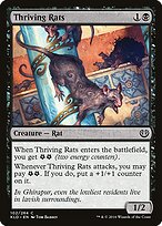 Thriving Rats #102