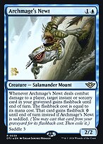Archmage's Newt #39s