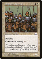 Volunteer Reserves #29