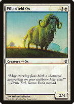 Pillarfield Ox #76