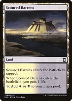 Scoured Barrens #244