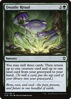 Druidic Ritual #227