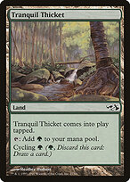 Tranquil Thicket #27