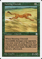 Hunting Cheetah #138