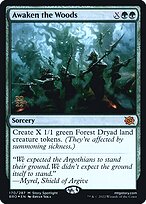 Awaken the Woods #170s