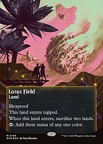 Lotus Field #158