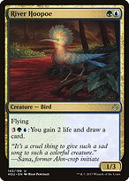 River Hoopoe #143