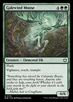 Galewind Moose #173