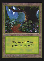 Forest #301