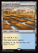 Irrigated Farmland #161