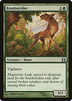 Brushstrider #117