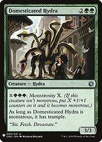 Domesticated Hydra #CN2-63