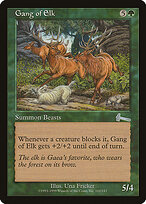 Gang of Elk #102