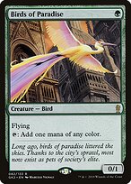 Birds of Paradise #82
