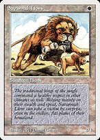 Savannah Lions #39