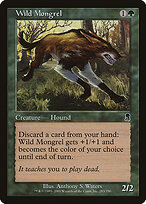 Wild Mongrel #283