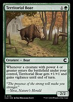 Territorial Boar #175