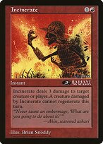 Incinerate #43